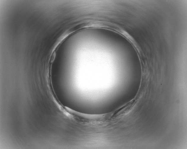 X0000066020909200603171528