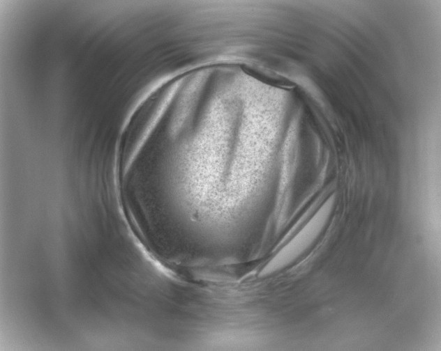 X0000066020910200603171528