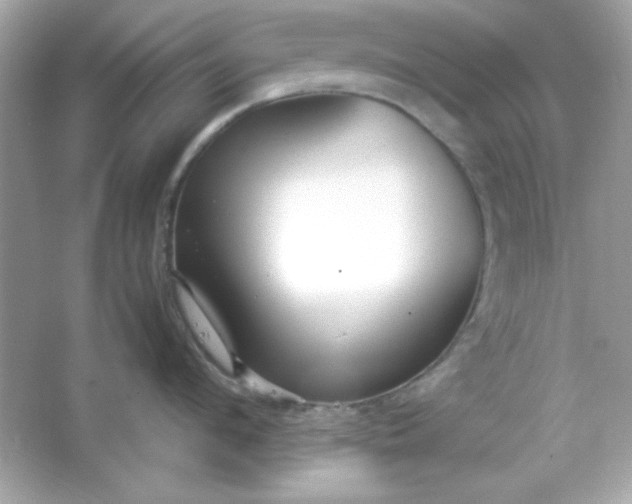 X0000066020912200603171528