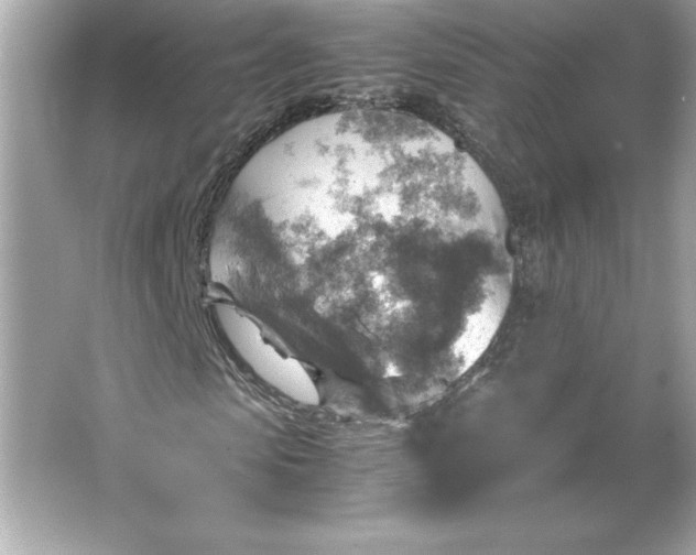 X0000066020913200603171528