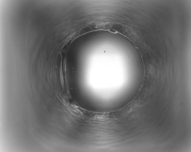 X0000066020914200603171528