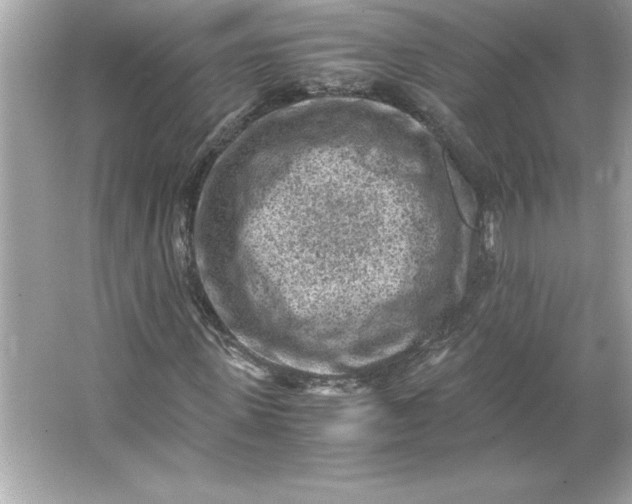 X0000066020915200603171528