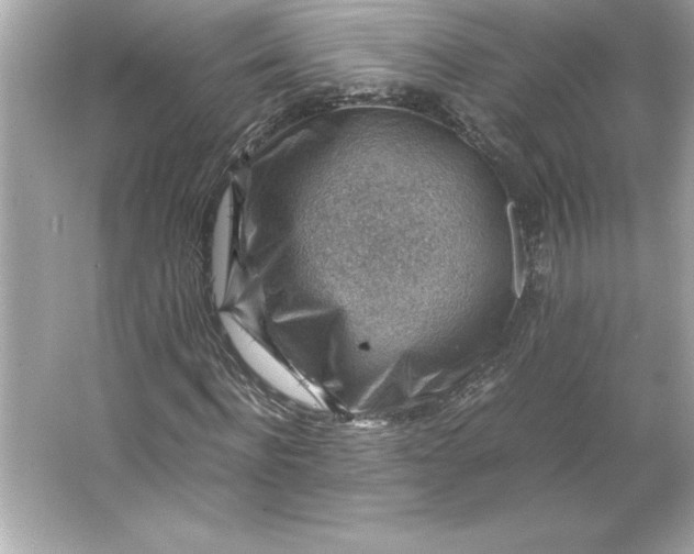 X0000066020916200603171528