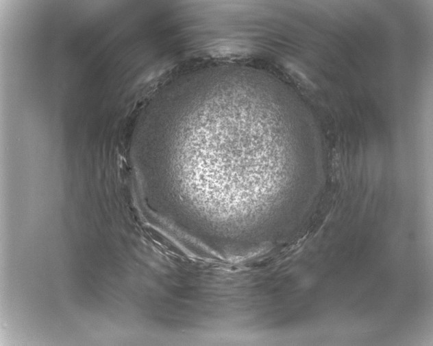 X0000066020917200603171528