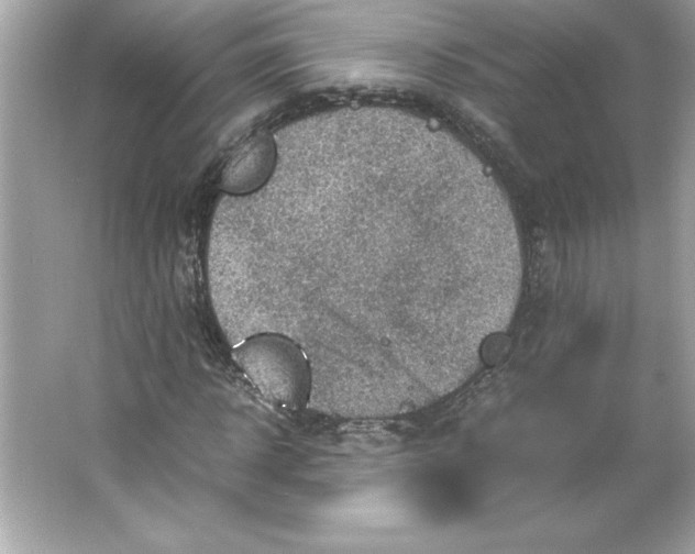 X0000066020918200603171528