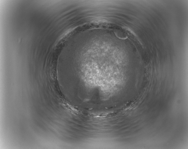 X0000066020919200603171528