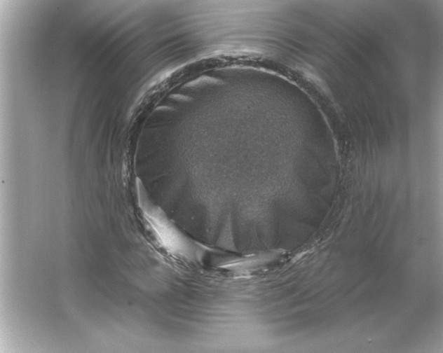 X0000066020920200603171528