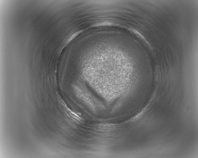 X0000066020921200603171528