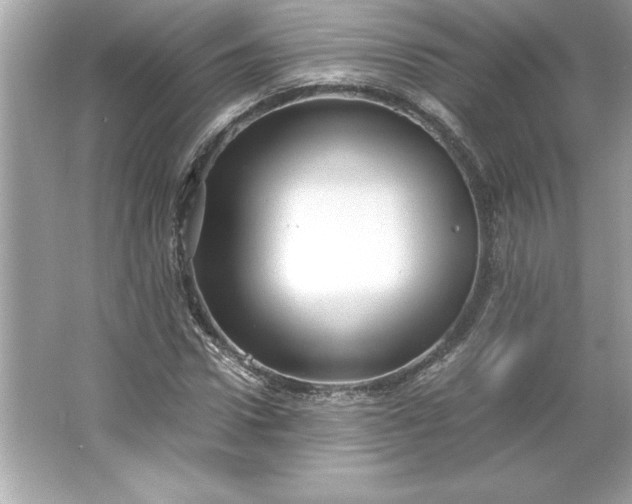 X0000066020922200603171528