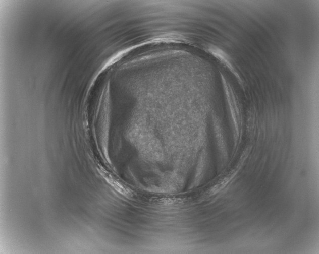 X0000066020923200603171528