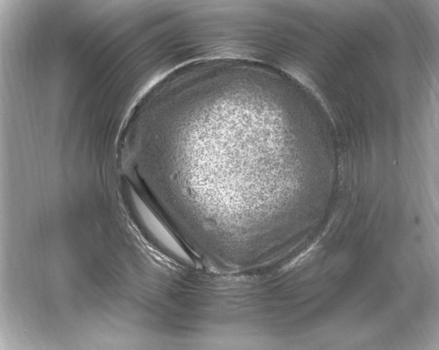 X0000066020925200603171528