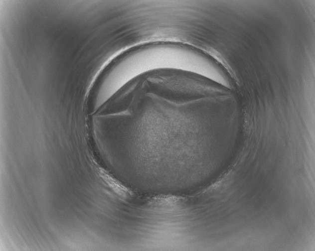 X0000066020926200603171528