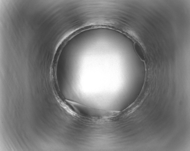 X0000066020928200603171528