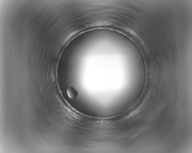 X0000066020929200603171528