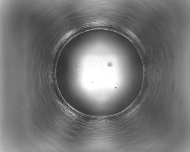 X0000066020930200603171528