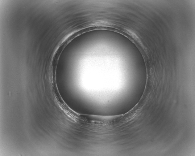 X0000066020931200603171528