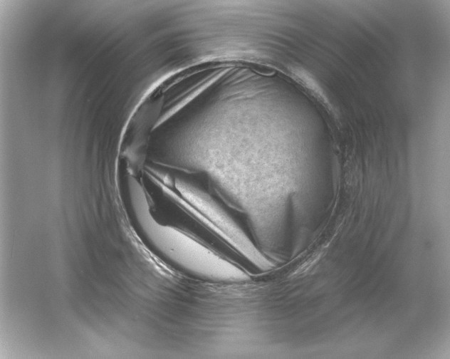 X0000066020932200603171528