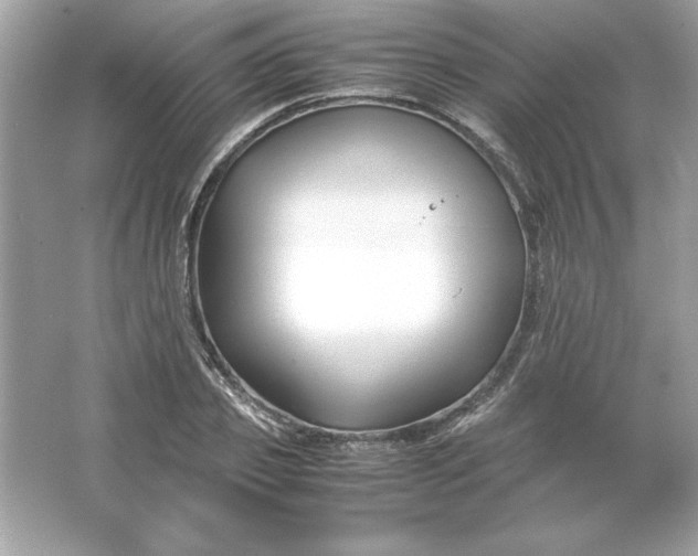 X0000066020933200603171528