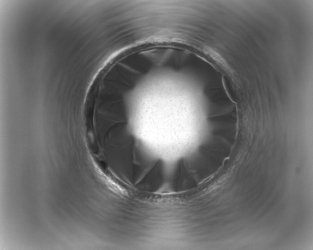 X0000066020934200603171528