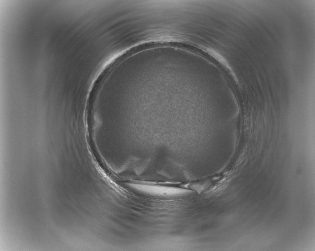 X0000066020935200603171528