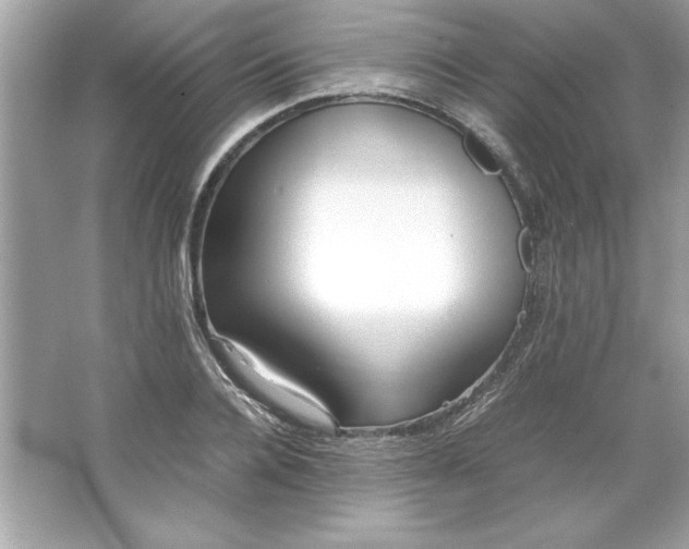 X0000066020936200603171528