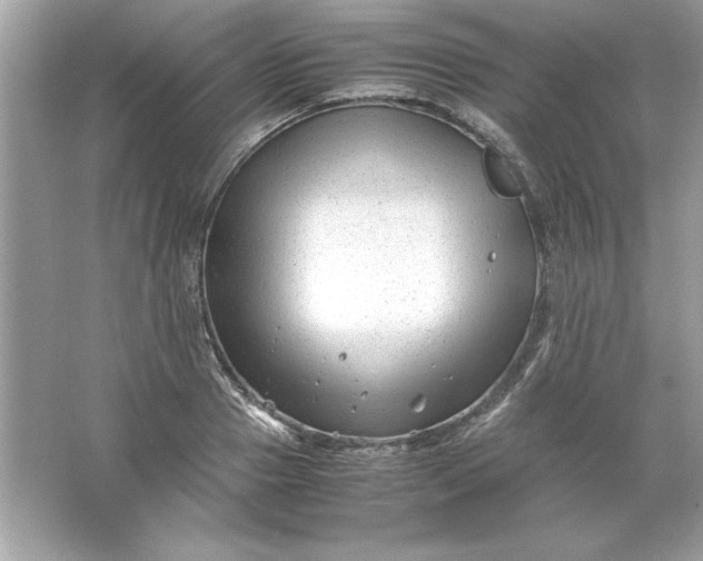 X0000066020937200603171528