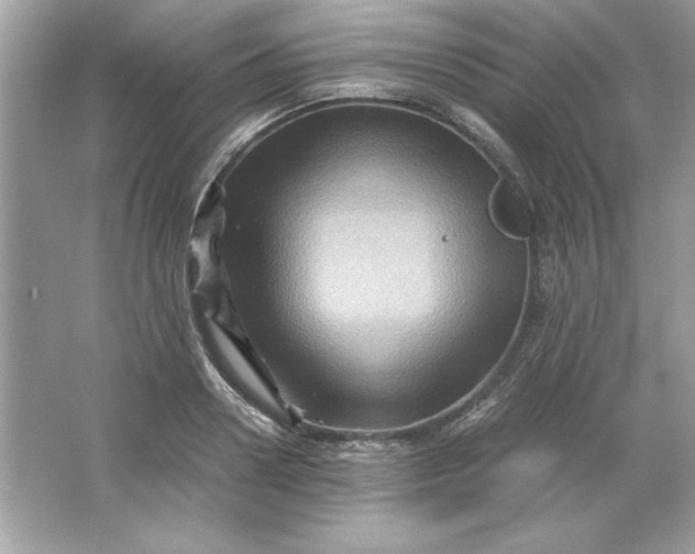 X0000066020938200603171528