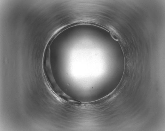 X0000066020940200603171528