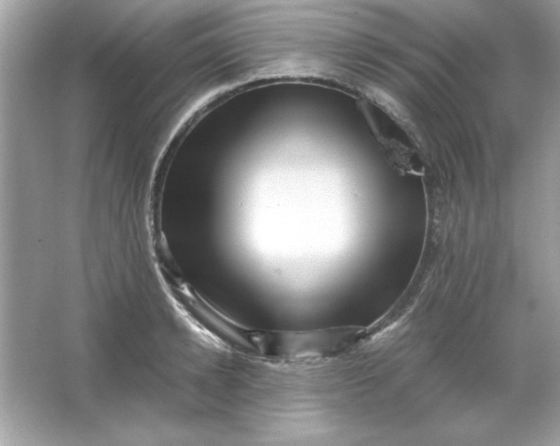 X0000066020942200603171528