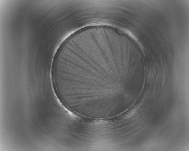 X0000066020943200603171528