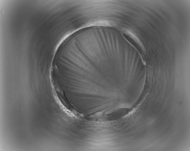 X0000066020944200603171528