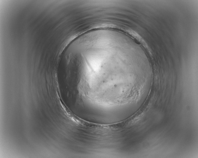 X0000066020945200603171528