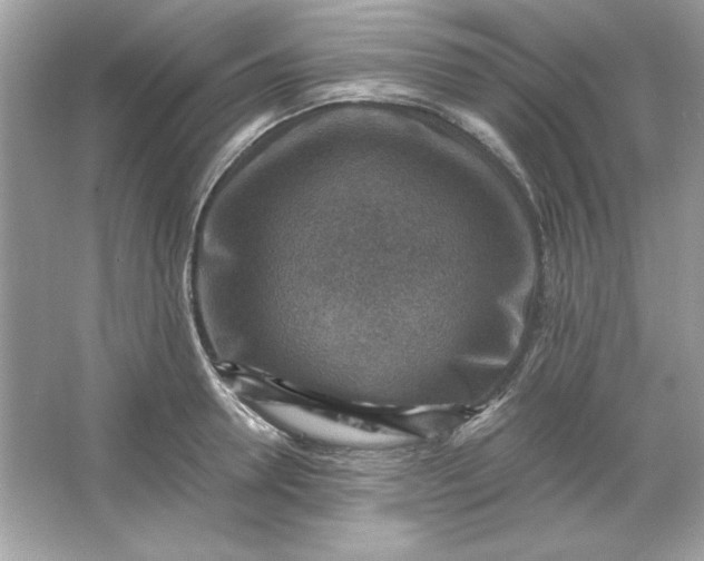 X0000066020946200603171528