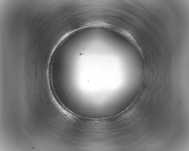 X0000066020947200603171528