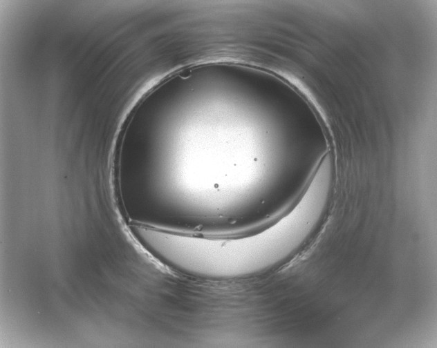 X0000066020949200603171528