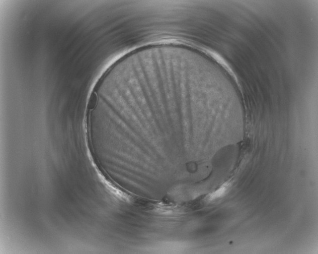 X0000066020951200603171528