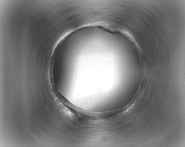 X0000066020952200603171528