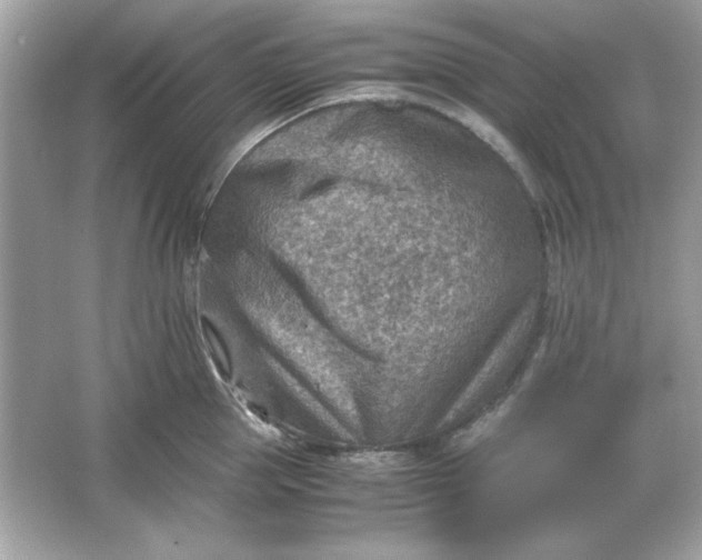 X0000066020953200603171528