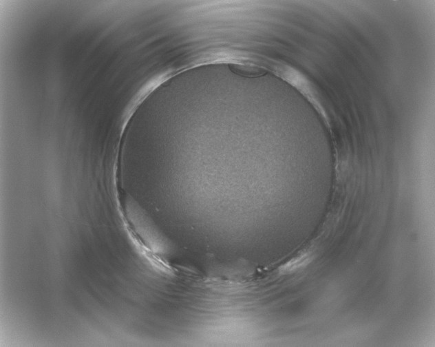 X0000066020954200603171528