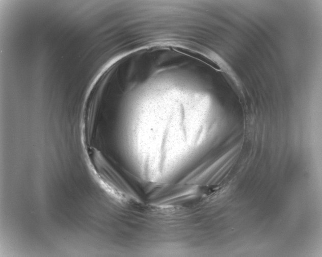 X0000066020955200603171528