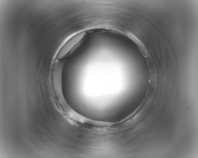 X0000066020956200603171528