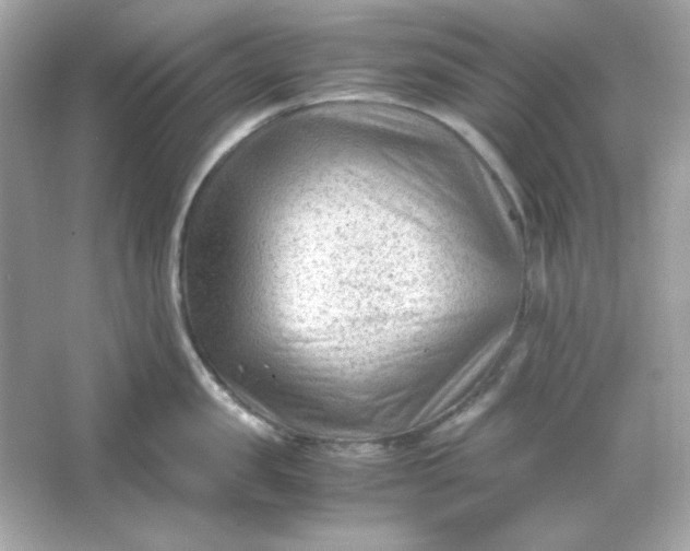 X0000066020957200603171528