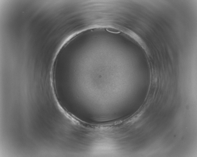 X0000066020958200603171528