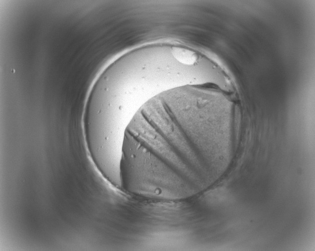 X0000066020959200603171528