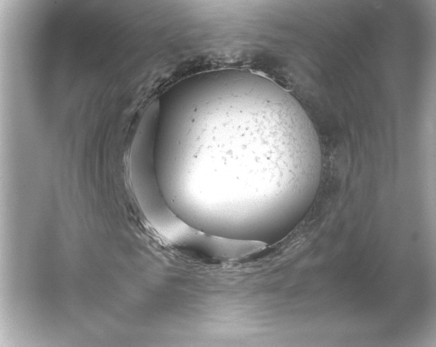 X0000066020961200603171528