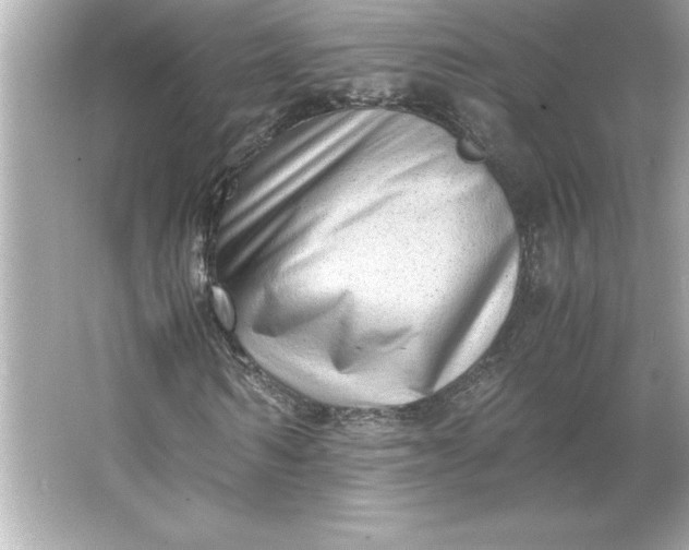 X0000066020962200603171528