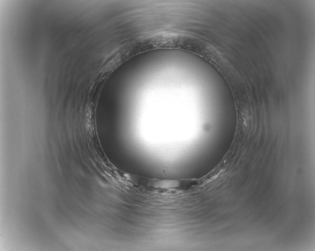 X0000066020964200603171527