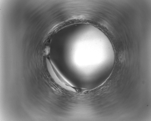 X0000066020968200603171527