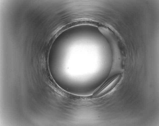 X0000066020969200603171527