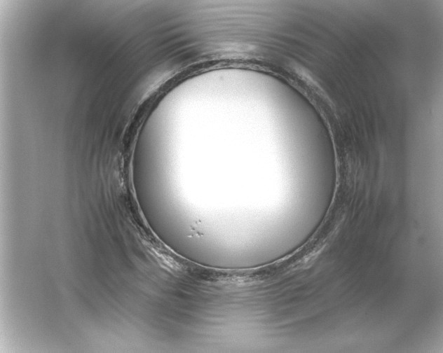 X0000066020970200603171527